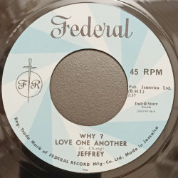 Виниловая пластинка Jeffrey &amp; Paul Madden - Why Love One Another / West Board Jungle