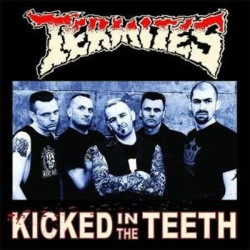 Виниловая пластинка Termites - Kicked In The Teeth