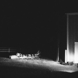 Виниловая пластинка Cloud Nothings - Last Building Burning