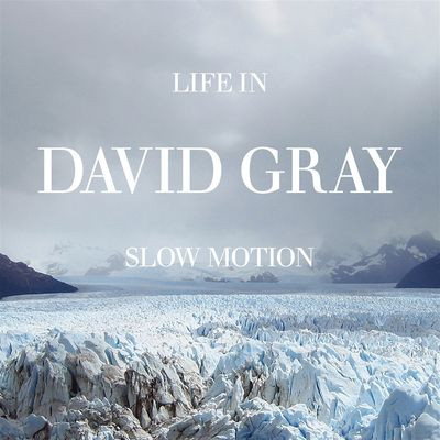 Виниловая пластинка David Gray - Life In Slow Motion (20Th Anniversary Edition)