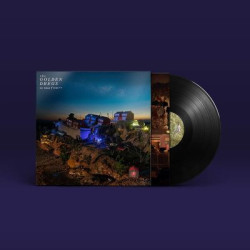 Виниловая пластинка The Golden Dregs - On Grace &amp; Dignity