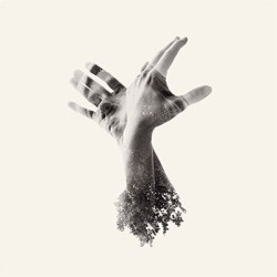 Виниловая пластинка Last Dinosaur The - Nothing The