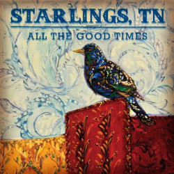 Виниловая пластинка Tn Starlings - All The Good Times