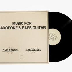 Sam Gendel &amp; Sam Wilkes - Music For Saxofone &amp; Bass Guitar (LP)