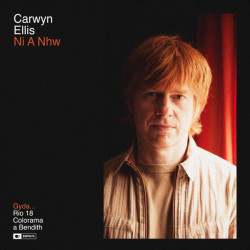 Виниловая пластинка Carwyn Ellis - Ni A Nhw