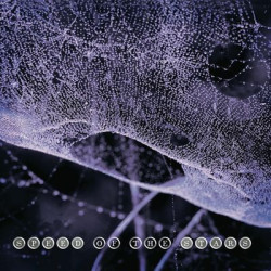 Виниловая пластинка Speed Of The Stars (Steve Kilbey And Frank Kearns) - Speed Of The Stars