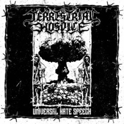 Виниловая пластинка Terrestrial Hospice - Universal Hate Speech