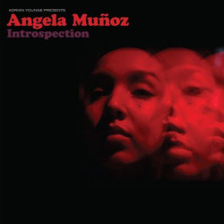 Виниловая пластинка Angela Muñoz &amp; Adrian Younge - Adrian Younge Presents: Angela Muñoz
