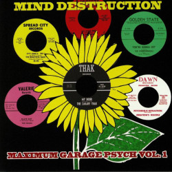Виниловая пластинка Various Artists - Mind Destruction Maximum Garage Psych Vol. 1