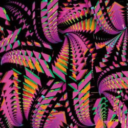 Виниловая пластинка Bitchin Bajas - Bajascillators