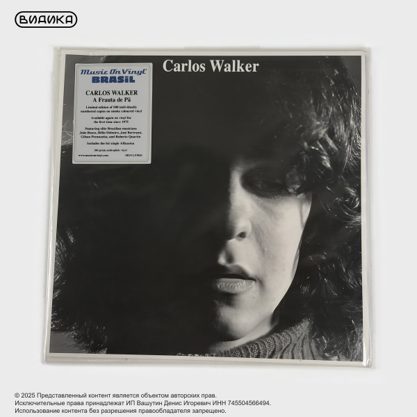 Виниловая пластинка Carlos Walker - A Frauta De Pa (LP) Smoke
