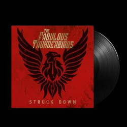 Виниловая пластинка The Fabulous Thunderbirds - Struck Down