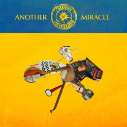 Виниловая пластинка Steve N Seagulls - Another Miracle