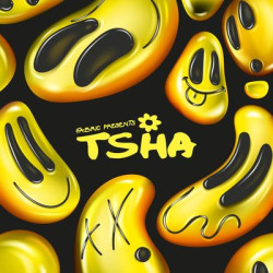 Виниловая пластинка Various Artists Feat. Tsha - Fabric Presents Tsha