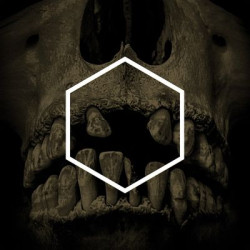 Виниловая пластинка Lustmord &amp; Various Artists - The Others (Lustmord Deconstructed)