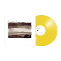Виниловая пластинка Ludovico Einaudi - I Giorni (2LP) жёлтый винил