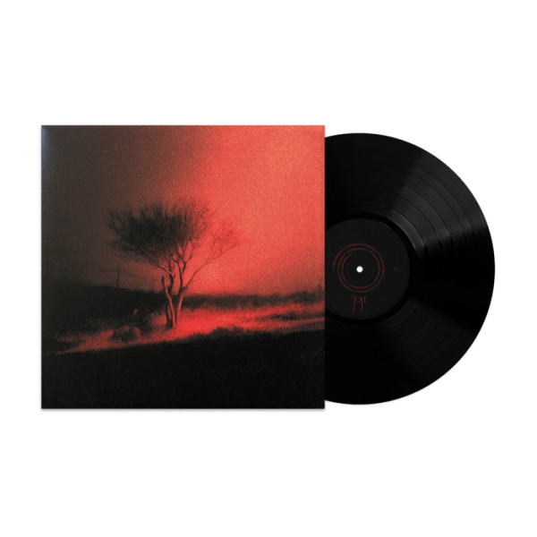 Виниловая пластинка США Joji - Piss In The Wind (LP)