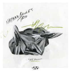 Виниловая пластинка Nathan Bowles Trio - Are Possible