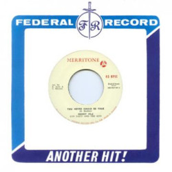 Виниловая пластинка Various Artists - You Never Could Be True
