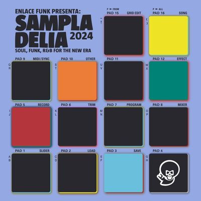 Виниловая пластинка Various Artists - Sampladelia 2024