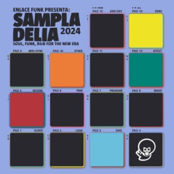 Виниловая пластинка Various Artists - Sampladelia 2024