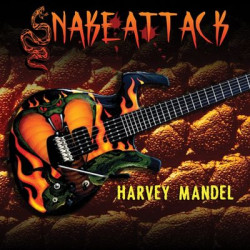 Виниловая пластинка Harvey Mandel - Snake Attack