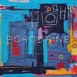 Виниловая пластинка Porcupine - What You'Ve Heard Isn'T Real