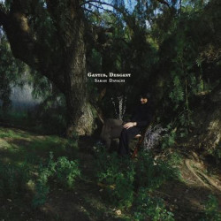 Виниловая пластинка Sarah Davachi - Cantus, Descant
