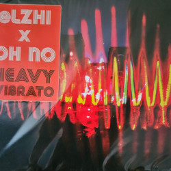 Виниловая пластинка Elzhi &amp; Oh No - Heavy Vibrato