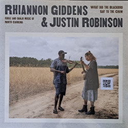 Виниловая пластинка Rhiannon Giddens &amp; Justin Robi - What Did The Blackbird Say To