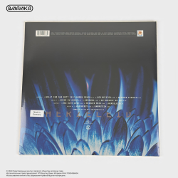 Виниловая пластинка Rammstein - Herzeleid (2LP)