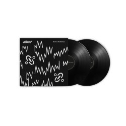 Виниловая пластинка The Chemical Brothers - Born In The Echoes (2LP)