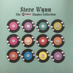 Виниловая пластинка Steve Wynn - The Emusic Singles Collection