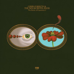 Виниловая пластинка Chris Forsyth &amp; Koen Holtkamp - The Rarity Of Experience Pts. I &amp; Ii