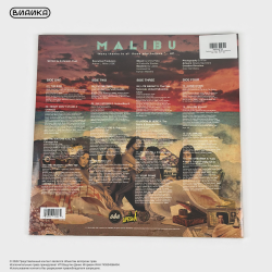 Виниловая пластинка Anderson .Paak - Malibu (2LP) Sea Floor
