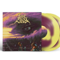 Виниловая пластинка Burial In The Sky - The Consumed Self (Violet/Yellow Double Vinyl)