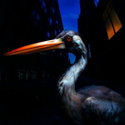 Виниловая пластинка Antony Szmierek - Decoding Birdsong (LP)