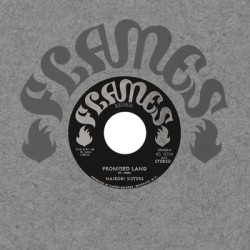 Виниловая пластинка Nairobi Sisters - Promised Land