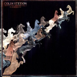 Виниловая пластинка Stetson; Colin - New History Warfare; Vol.2