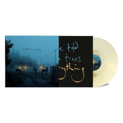 Виниловая пластинка Dermot Kennedy - I've told the trees everything (Великобритания и Европа, лимитированное издание)