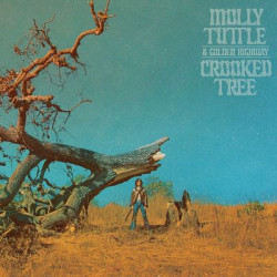Виниловая пластинка Molly Tuttle &amp; Golden Highway - Crooked Tree
