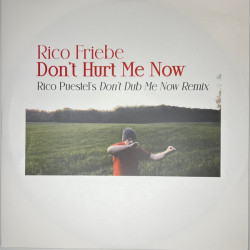 Виниловая пластинка Rico Friebe - Dont Hurt Me Now (Rico Pueste