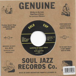 Виниловая пластинка The Explosions feat. Juanita Brooks - Garden Of Four Trees