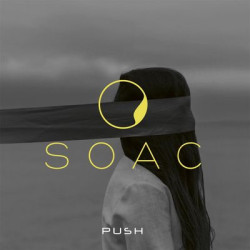 Виниловая пластинка Sons Of Alpha Centauri - Push (LpCd)