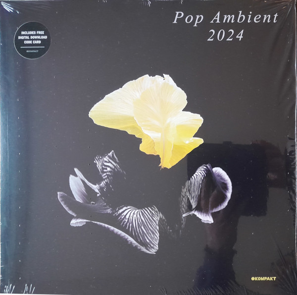 Виниловая пластинка Various Artists - Pop Ambient 2024