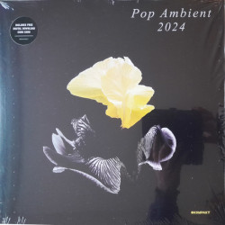 Виниловая пластинка Various Artists - Pop Ambient 2024