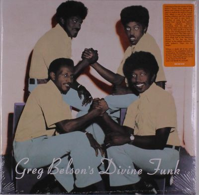 Виниловая пластинка Various Artists - Greg Belson'S Divine Funk