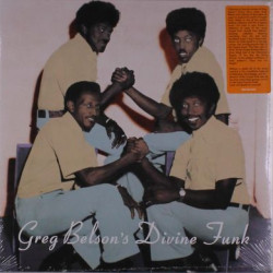 Виниловая пластинка Various Artists - Greg Belson'S Divine Funk