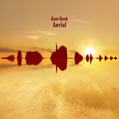 Виниловая пластинка Bush, Kate - Aerial (2018 Remaster) (2LP) BLACK