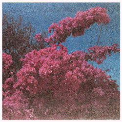 Виниловая пластинка Elisabeth Klinck - Picture A Frame